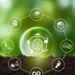 Revolutionizing Supply Chain Practices with Green SCM