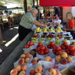 Top Things to Do in Holland, MI This Spring