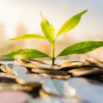 How to Choose a Charitable Organization to Support